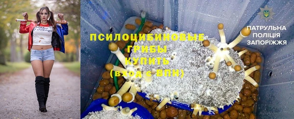 Альфа ПВП Белокуриха