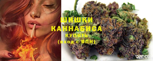 Альфа ПВП Беломорск