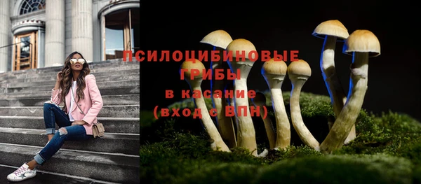 МДПВ Сафоново