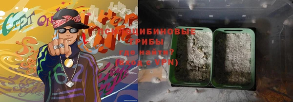 Альфа ПВП Белокуриха
